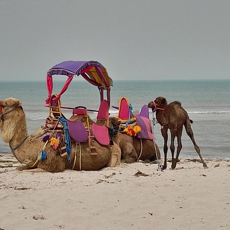 Dar El Kahina Djerba Mezraia Exterior foto