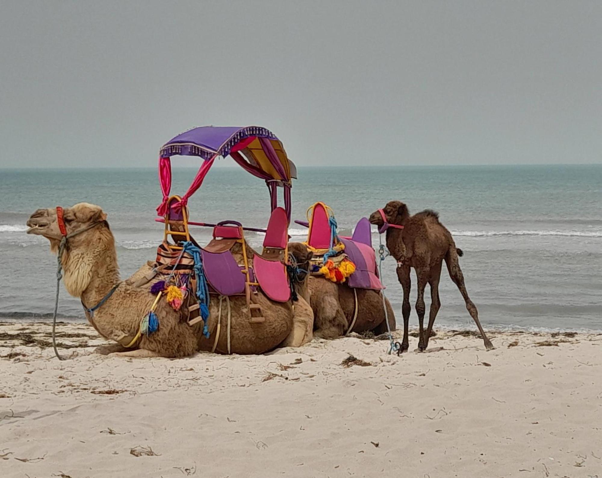 Dar El Kahina Djerba Mezraia Exterior foto