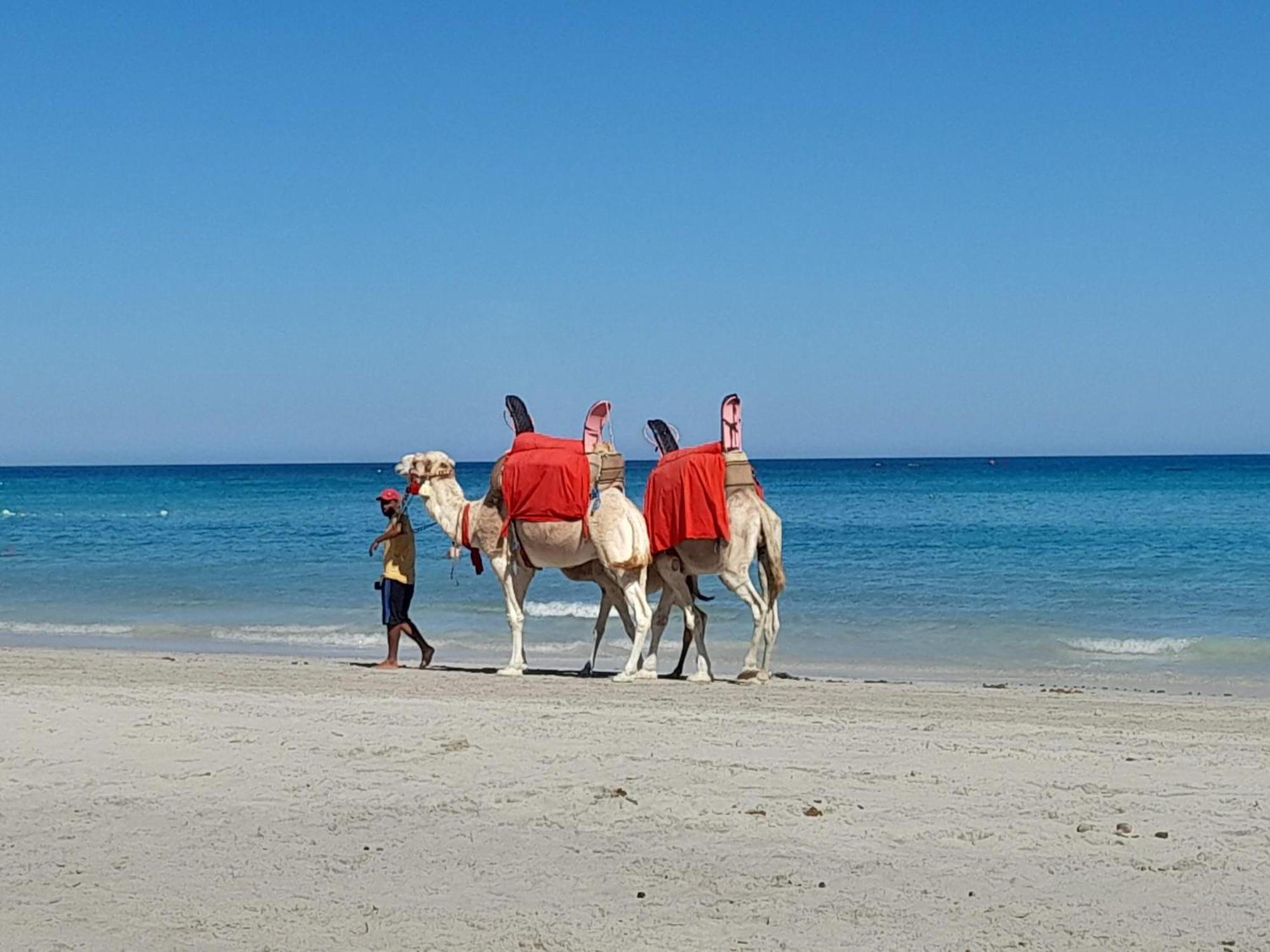 Dar El Kahina Djerba Mezraia Exterior foto